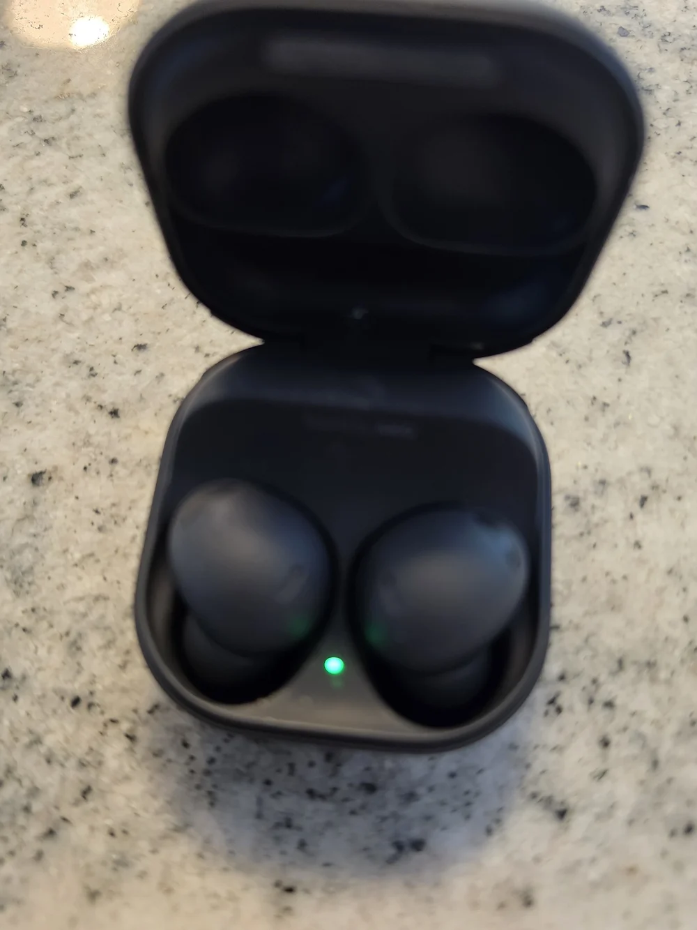 Samsung Black 2 Pro Earbuds with Charging Case